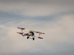 Modelle unserer Mitglieder