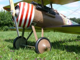 Modelle unserer Mitglieder