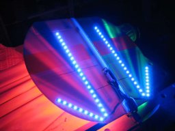 Modelle unserer Mitglieder