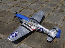 Modelle unserer Mitglieder