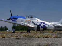 Modelle unserer Mitglieder