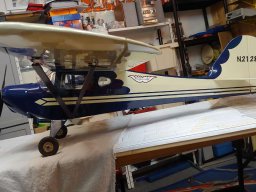 Modelle unserer Mitglieder