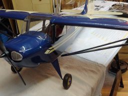 Modelle unserer Mitglieder